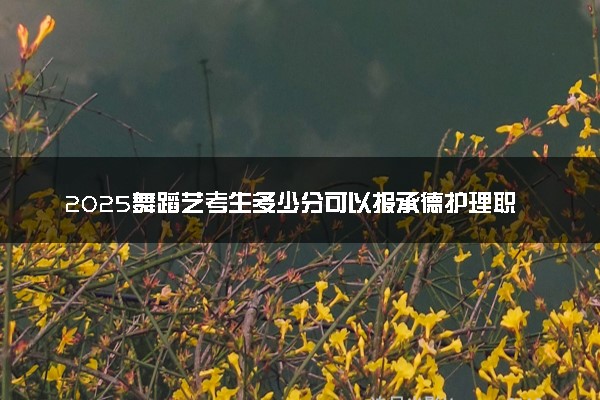 2025舞蹈艺考生多少分可以报承德护理职业学院
