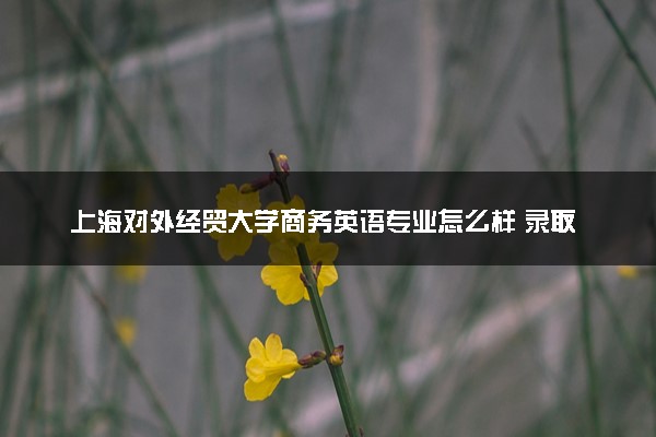 上海对外经贸大学商务英语专业怎么样 录取分数线多少