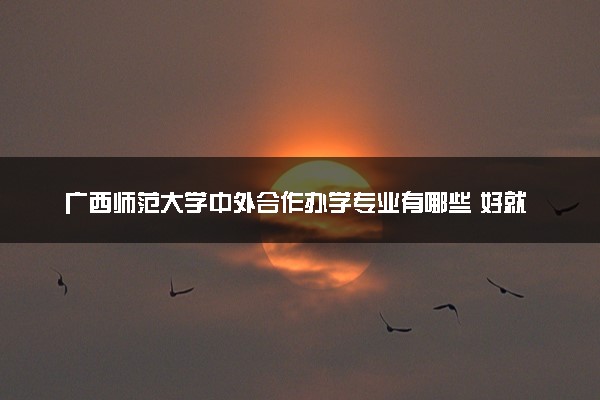 广西师范大学中外合作办学专业有哪些 好就业吗