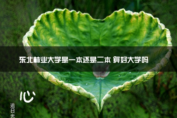 东北林业大学是一本还是二本 算好大学吗