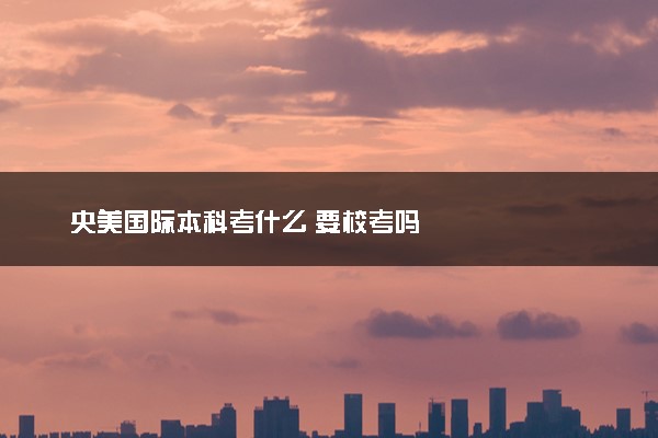 央美国际本科考什么 要校考吗