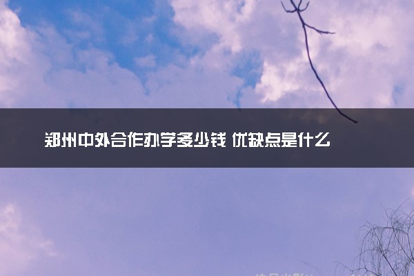 郑州中外合作办学多少钱 优缺点是什么
