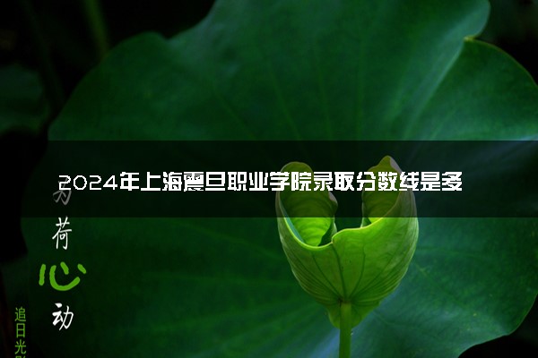 2024年上海震旦职业学院录取分数线是多少 各省最低分数线及位次