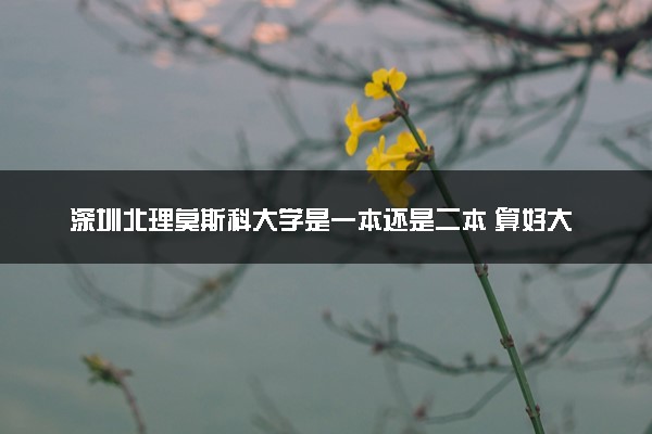 深圳北理莫斯科大学是一本还是二本 算好大学吗