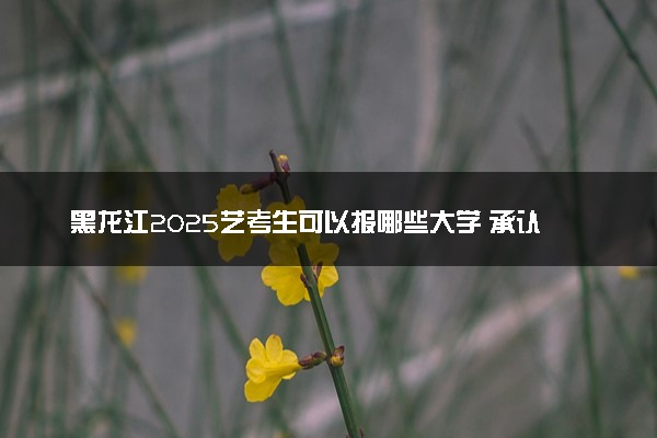 黑龙江2025艺考生可以报哪些大学 承认统考/联考成绩的院校