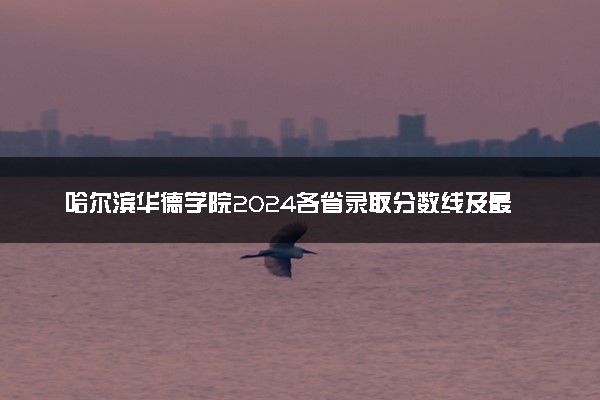 哈尔滨华德学院2024各省录取分数线及最低位次是多少