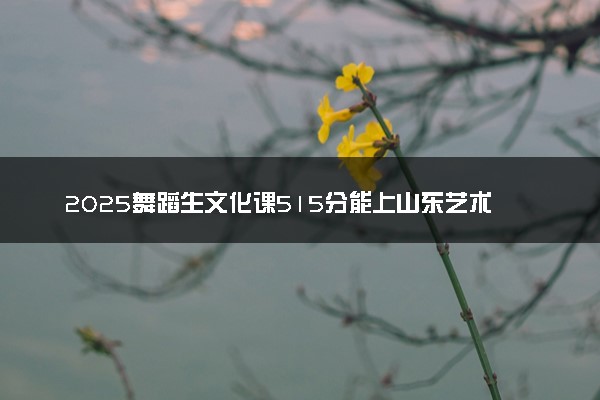 2025舞蹈生文化课515分能上山东艺术学院吗