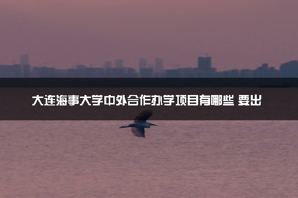 大连海事大学中外合作办学项目有哪些 要出国吗