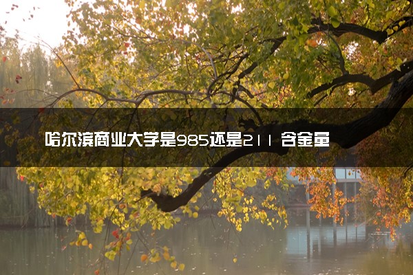 哈尔滨商业大学是985还是211 含金量怎么样