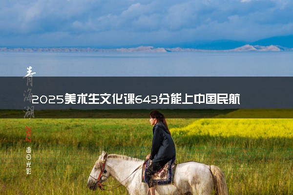 2025美术生文化课643分能上中国民航大学吗