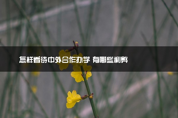 怎样看待中外合作办学 有哪些利弊