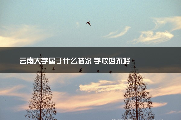 云南大学属于什么档次 学校好不好