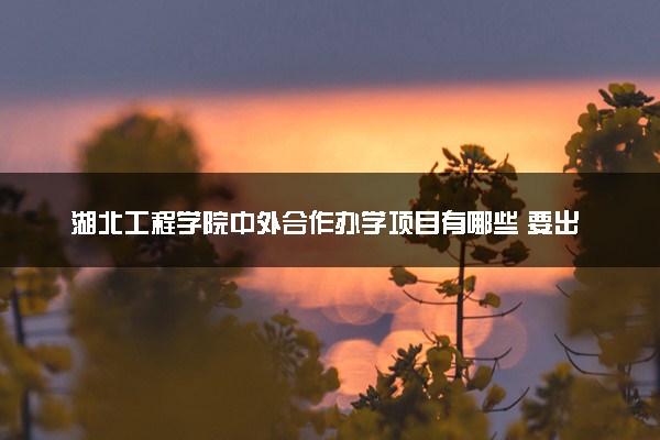 湖北工程学院中外合作办学项目有哪些 要出国吗