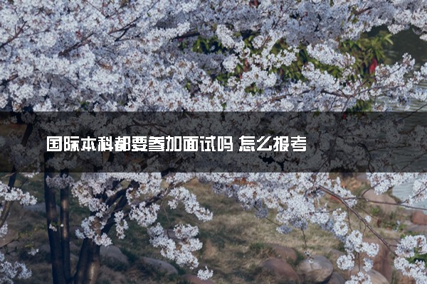 国际本科都要参加面试吗 怎么报考