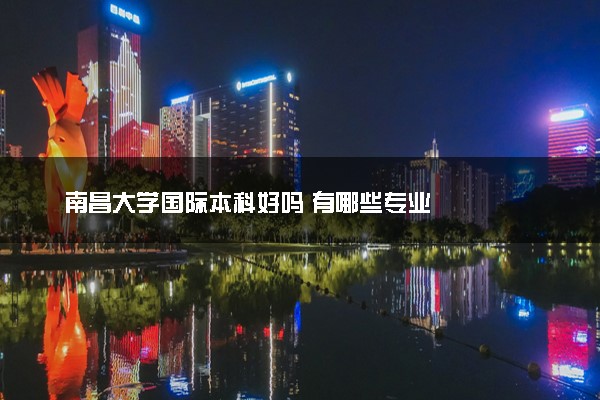 南昌大学国际本科好吗 有哪些专业