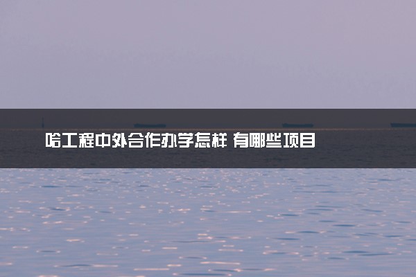 哈工程中外合作办学怎样 有哪些项目