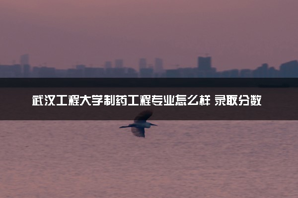 武汉工程大学制药工程专业怎么样 录取分数线多少