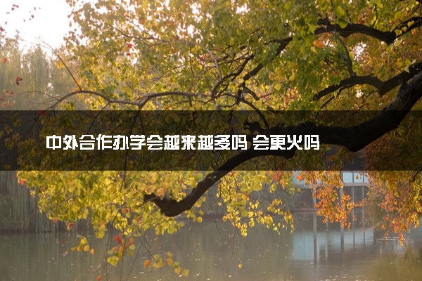中外合作办学会越来越多吗 会更火吗