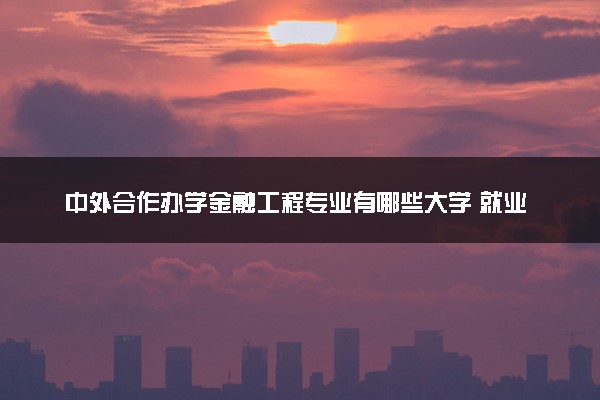 中外合作办学金融工程专业有哪些大学 就业前景怎么样