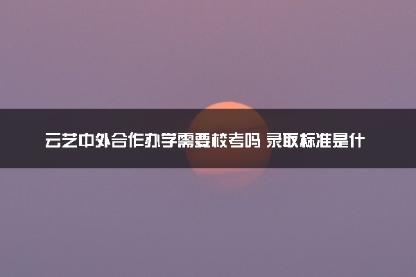 云艺中外合作办学需要校考吗 录取标准是什么