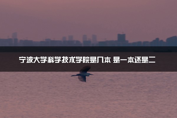 宁波大学科学技术学院是几本 是一本还是二本大学