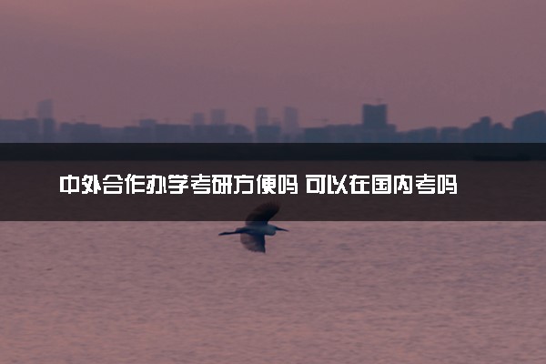 中外合作办学考研方便吗 可以在国内考吗