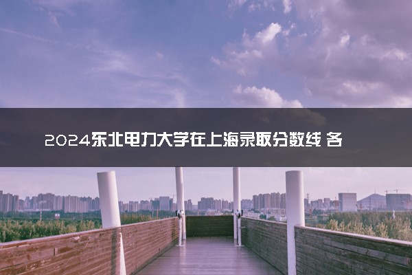 2024东北电力大学在上海录取分数线 各专业分数及位次