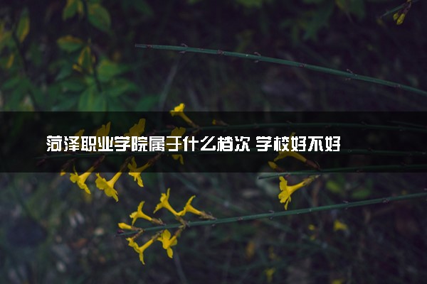 菏泽职业学院属于什么档次 学校好不好
