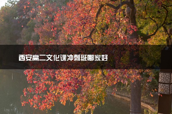 西安高二文化课冲刺班哪家好