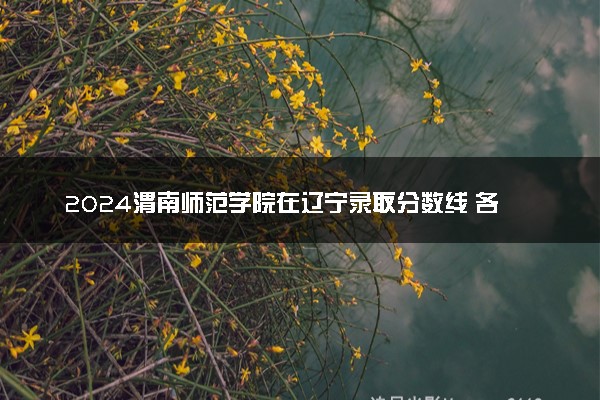 2024渭南师范学院在辽宁录取分数线 各专业分数及位次