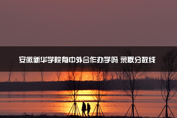 安徽新华学院有中外合作办学吗 录取分数线是多少