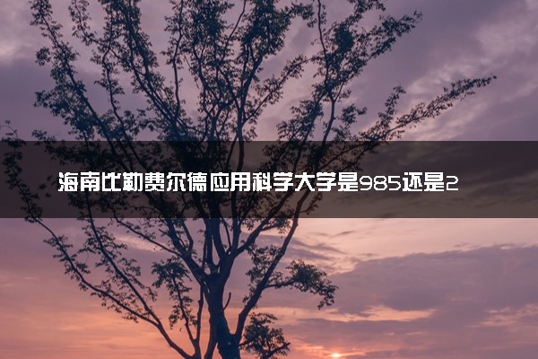 海南比勒费尔德应用科学大学是985还是211 含金量怎么样