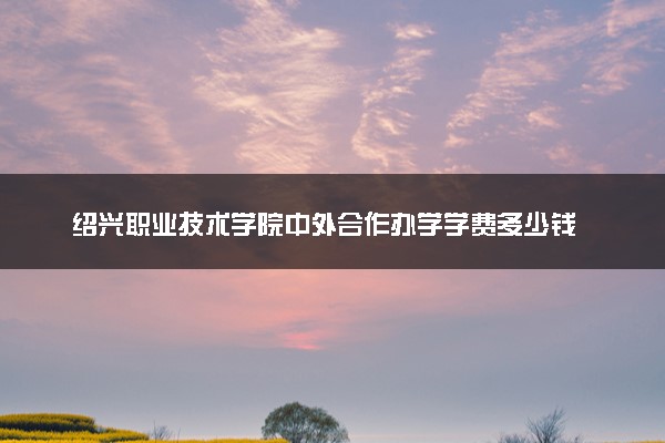 绍兴职业技术学院中外合作办学学费多少钱 各专业收费标准