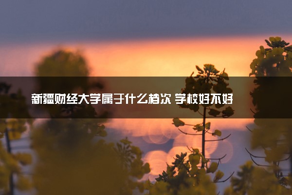 新疆财经大学属于什么档次 学校好不好