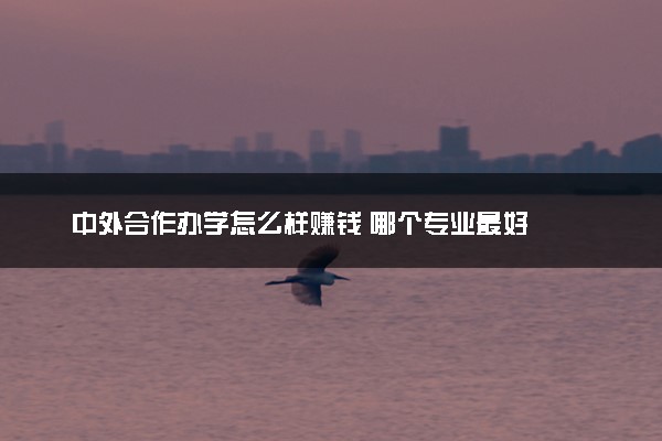 中外合作办学怎么样赚钱 哪个专业最好