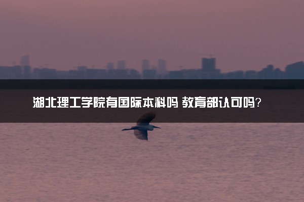 湖北理工学院有国际本科吗 教育部认可吗？