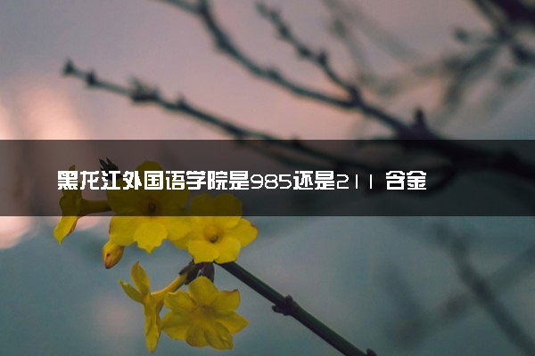 黑龙江外国语学院是985还是211 含金量怎么样