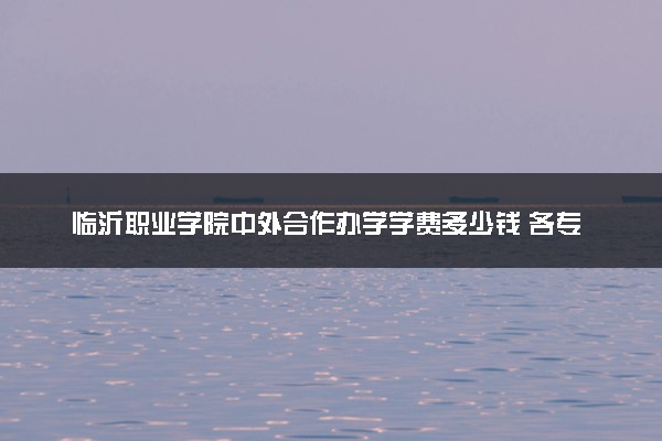 临沂职业学院中外合作办学学费多少钱 各专业收费标准