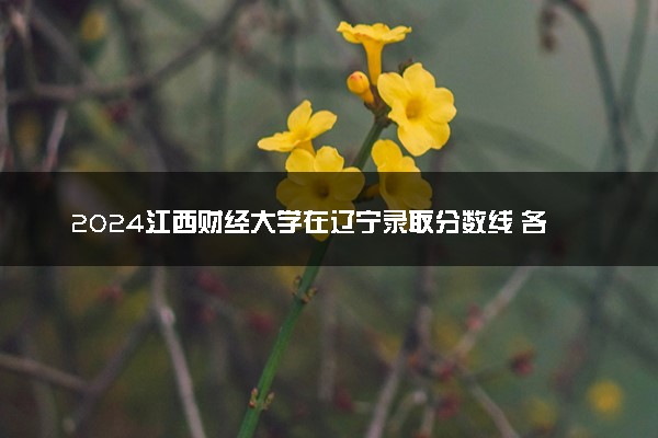 2024江西财经大学在辽宁录取分数线 各专业分数及位次