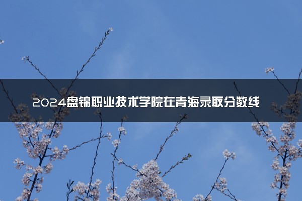 2024盘锦职业技术学院在青海录取分数线 各专业分数及位次