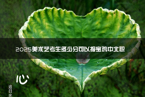 2025美术艺考生多少分可以报宝鸡中北职业学院