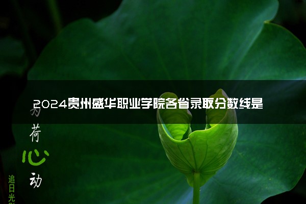 2024贵州盛华职业学院各省录取分数线是多少 最低分及位次