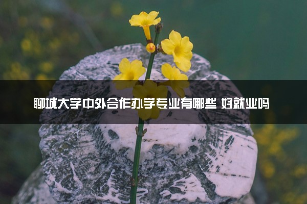 聊城大学中外合作办学专业有哪些 好就业吗