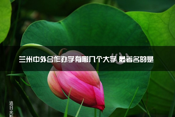 兰州中外合作办学有哪几个大学 最著名的是哪所
