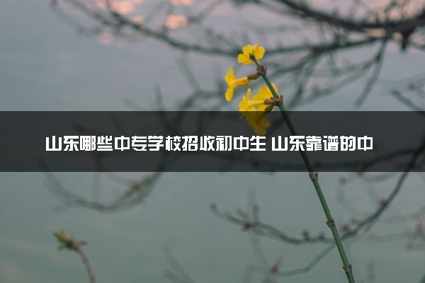 山东哪些中专学校招收初中生 山东靠谱的中专学校