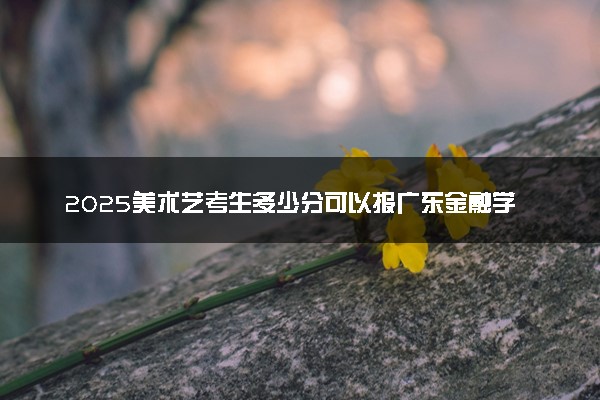 2025美术艺考生多少分可以报广东金融学院