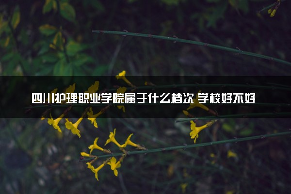 四川护理职业学院属于什么档次 学校好不好