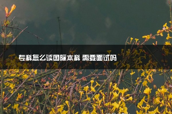 专科怎么读国际本科 需要面试吗
