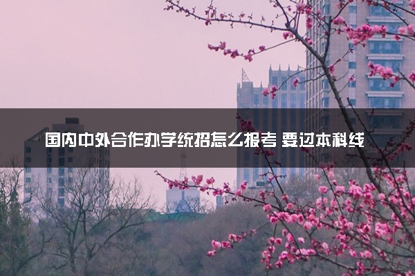 国内中外合作办学统招怎么报考 要过本科线吗