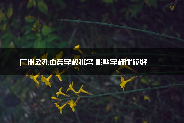 广州公办中专学校排名 哪些学校比较好